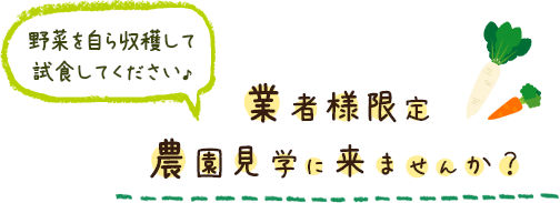 業者様限定農園見学に来ませんか?